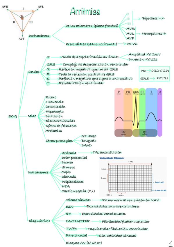 Miniatura del documento Arritmias.pdf