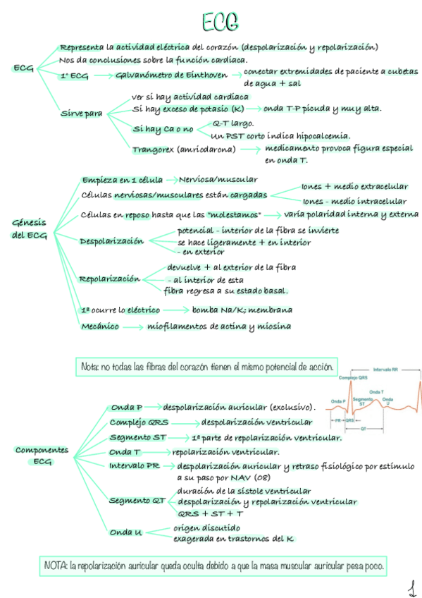 Miniatura del documento ECG.pdf