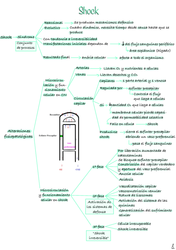 Miniatura del documento Shock.pdf