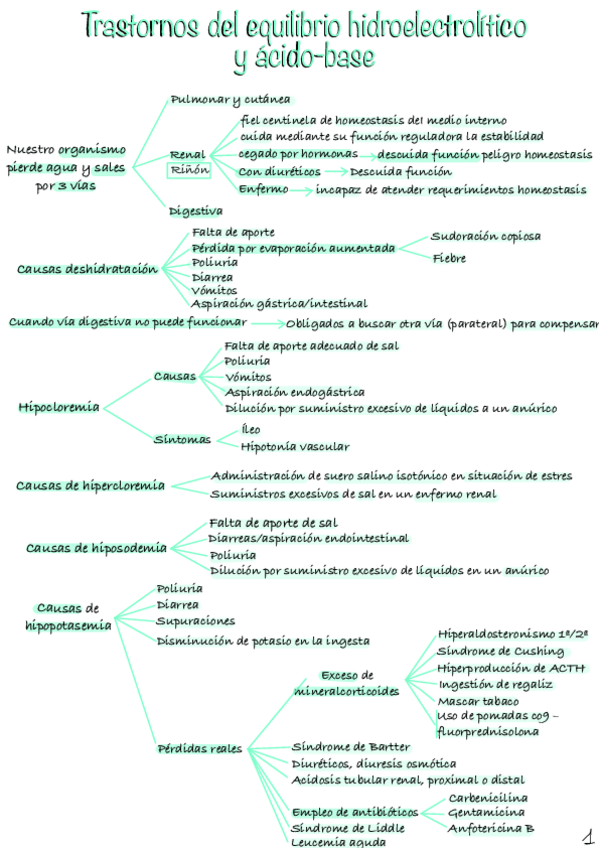 Miniatura del documento Trastornos-del-equilibrio.pdf