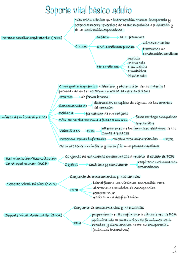 Miniatura del documento SVB-adulto-2.pdf