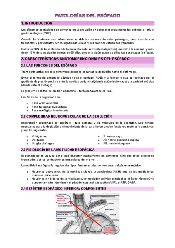 Miniatura del documento Patologias-del-esofago.pdf