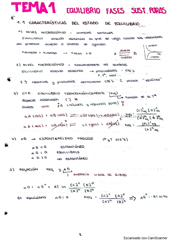 Miniatura del documento Apuntes-1.pdf
