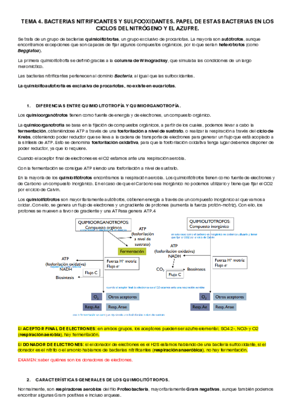 Miniatura del documento TEMA-4-MICROBIOLOGIA-II.pdf