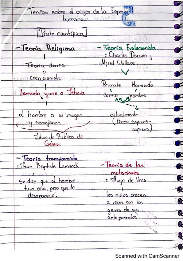 Miniatura del documento Teorias-del-Origen-Humano.pdf