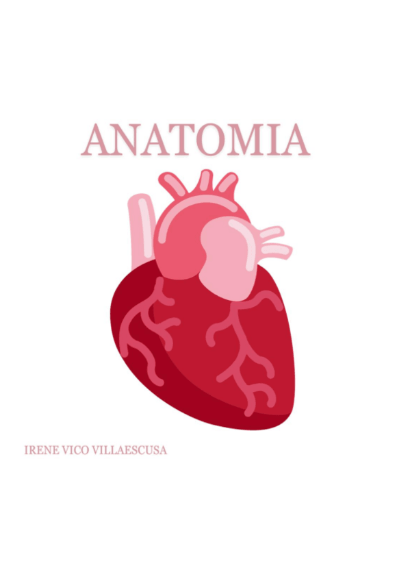 Miniatura del documento resumenes-anato.pdf