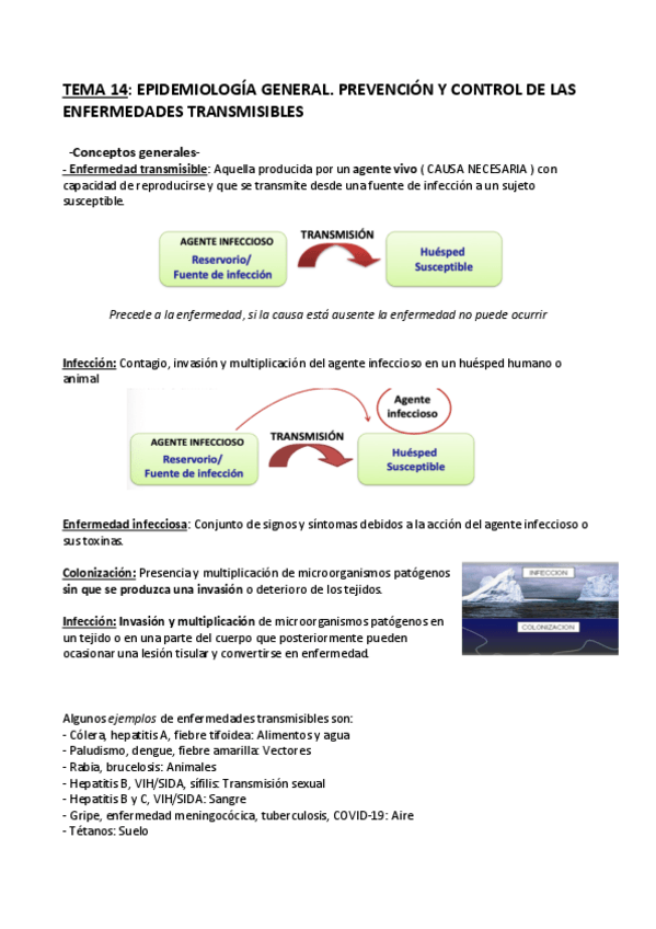 Miniatura del documento SALUD-PUBLICA-Tema-13-final.pdf