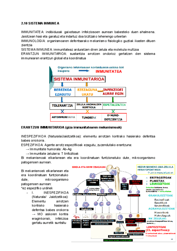 Miniatura del documento 10.-erantzun-immune-ez-espezifikoa.docx.pdf