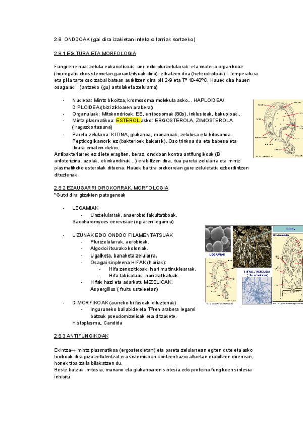 Miniatura del documento 8.-onddoak.docx.pdf