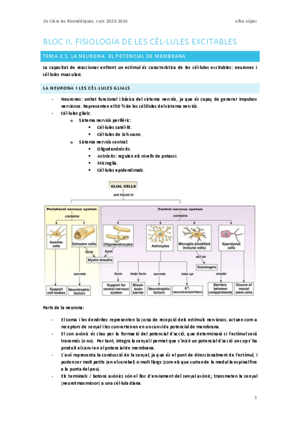 Miniatura del documento Tema-2.1.-La-neurona-el-potencial-de-membrana.pdf
