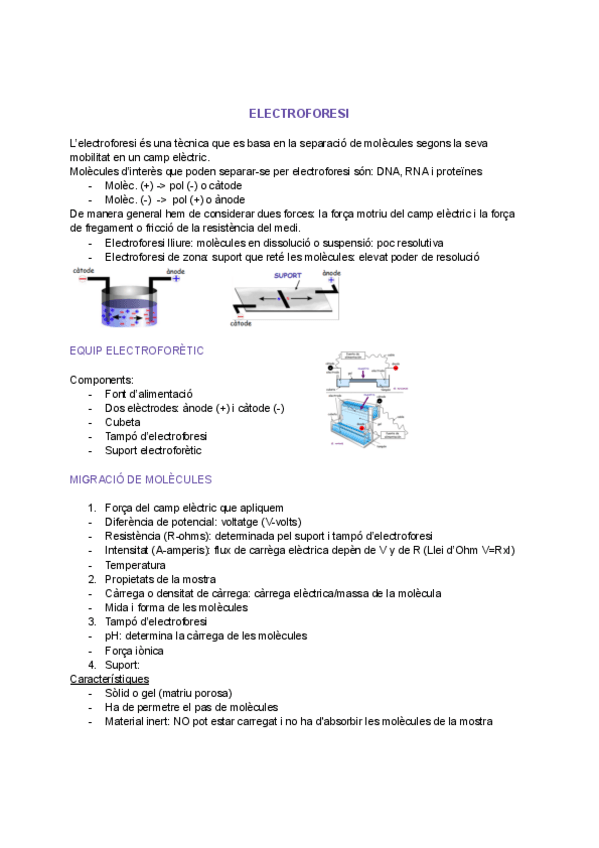 Miniatura del documento Electroforesis.pdf.pdf