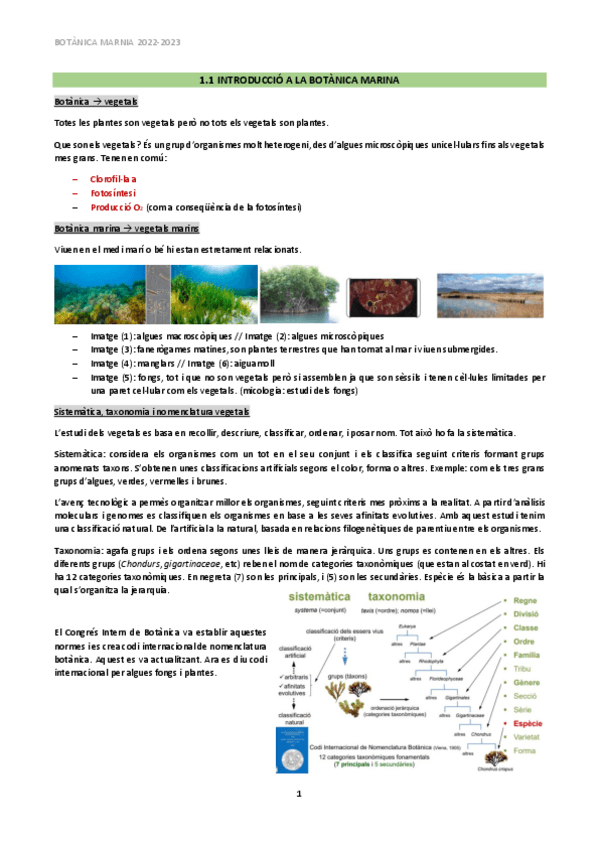 Miniatura del documento APUNTS-BOTANICA-2023.pdf