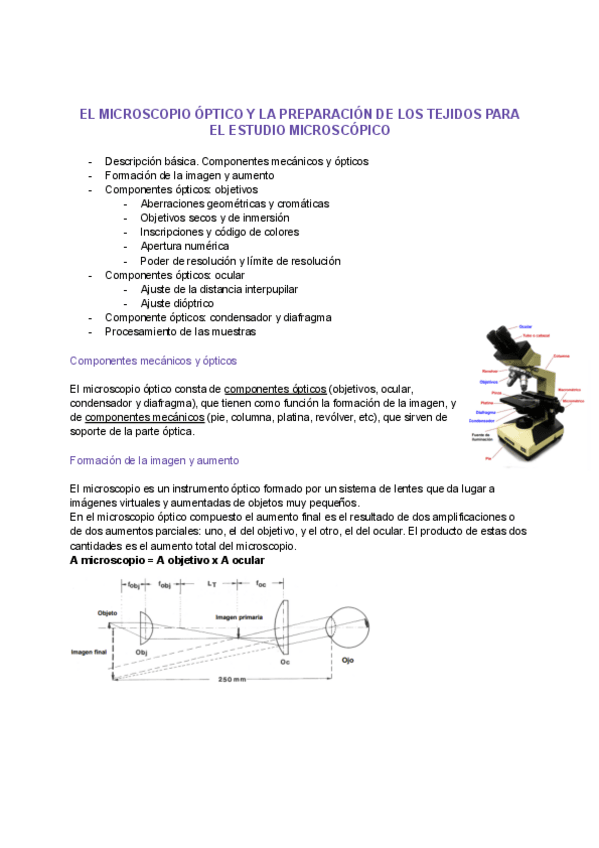 Miniatura del documento El-Microscopio.pdf
