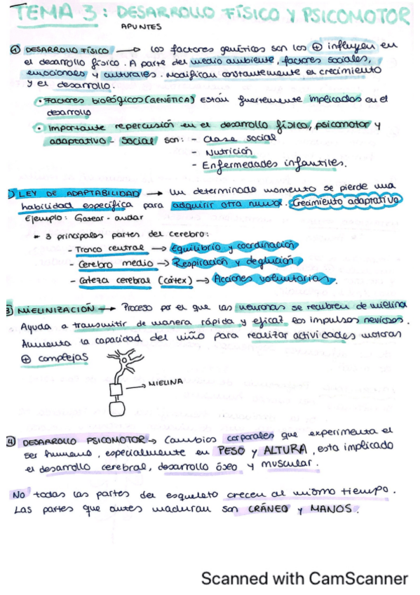 Miniatura del documento Tema-3-PSICOLOGIA-DEL-DESARROLLO.pdf