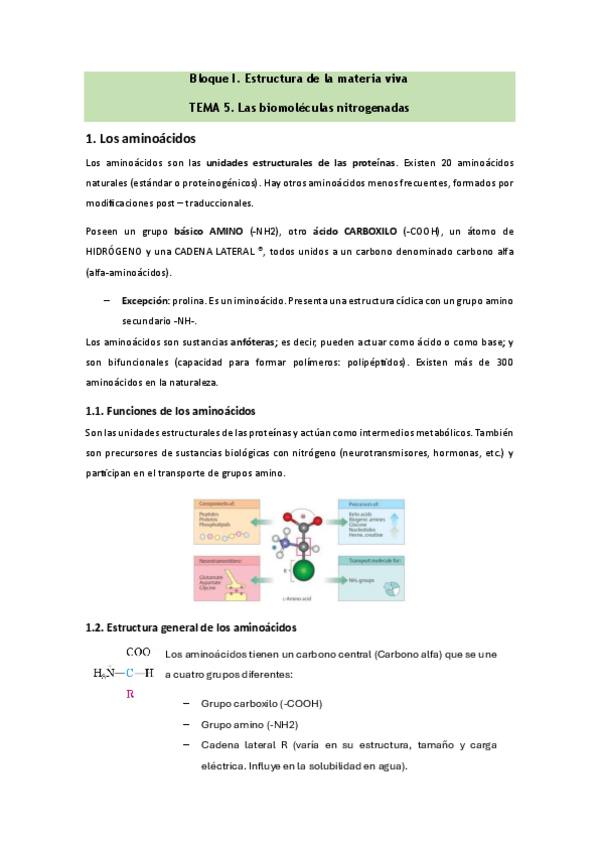 Miniatura del documento Bioquimica-Tema-5.pdf