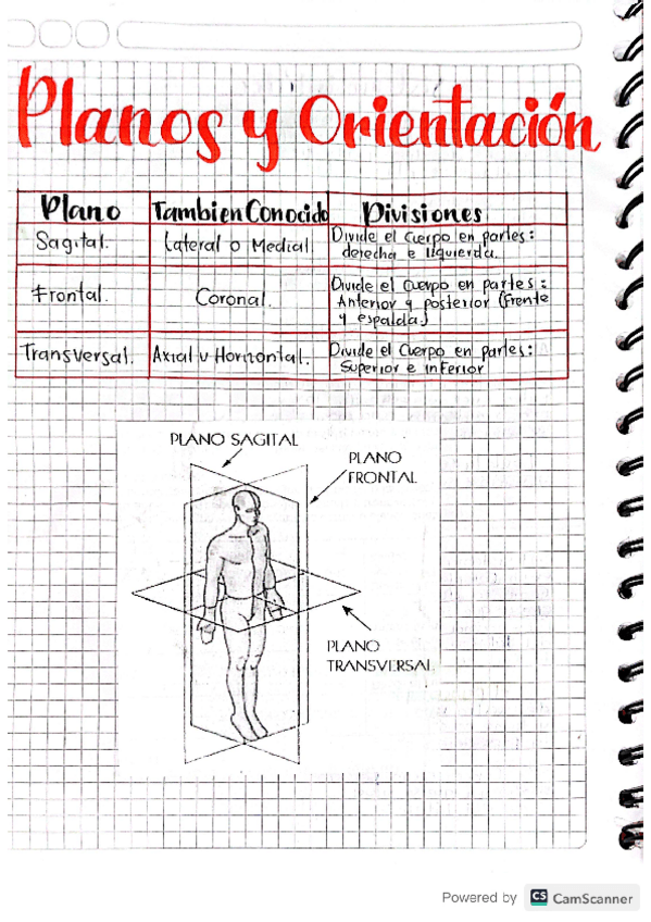 Miniatura del documento PLANOS-DEL-CUERPO.pdf