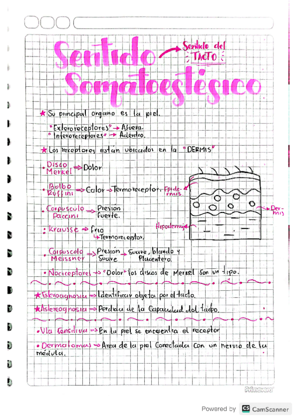 Miniatura del documento SENTIDO-DEL-TACTO.pdf