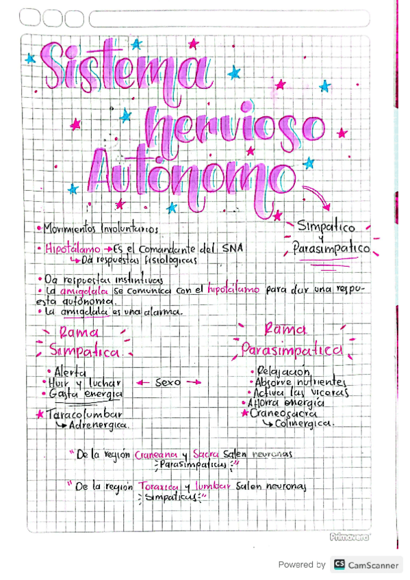 Miniatura del documento SN-AUTONOMO.pdf