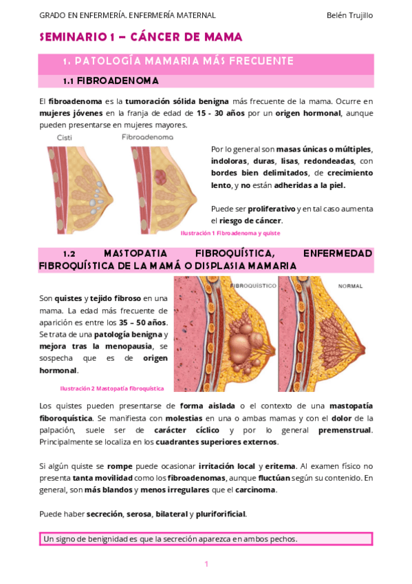 Miniatura del documento MATERNO-Seminario1-CancerMama.pdf