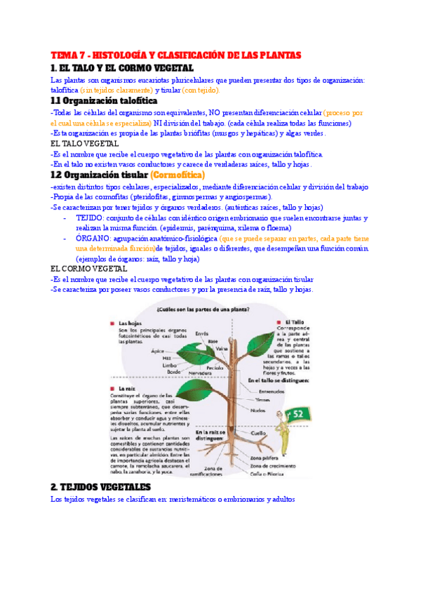 Miniatura del documento TEMA-7-HISTOLOGIA-Y-CLASIFICACION-DE-LAS-PLANTAS.pdf