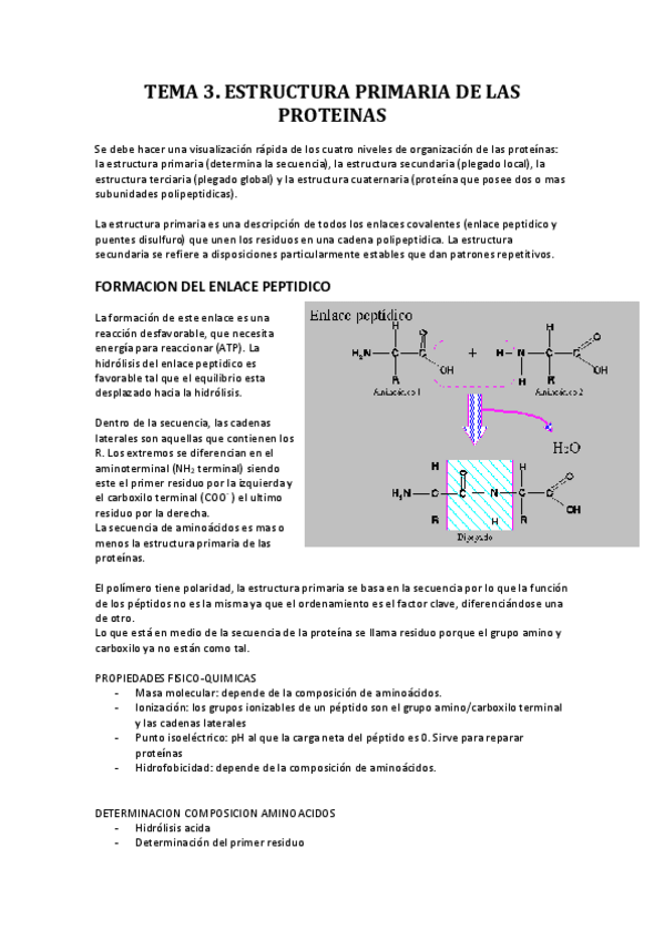 Miniatura del documento TEMA 3. Estr primaria proteinas.pdf