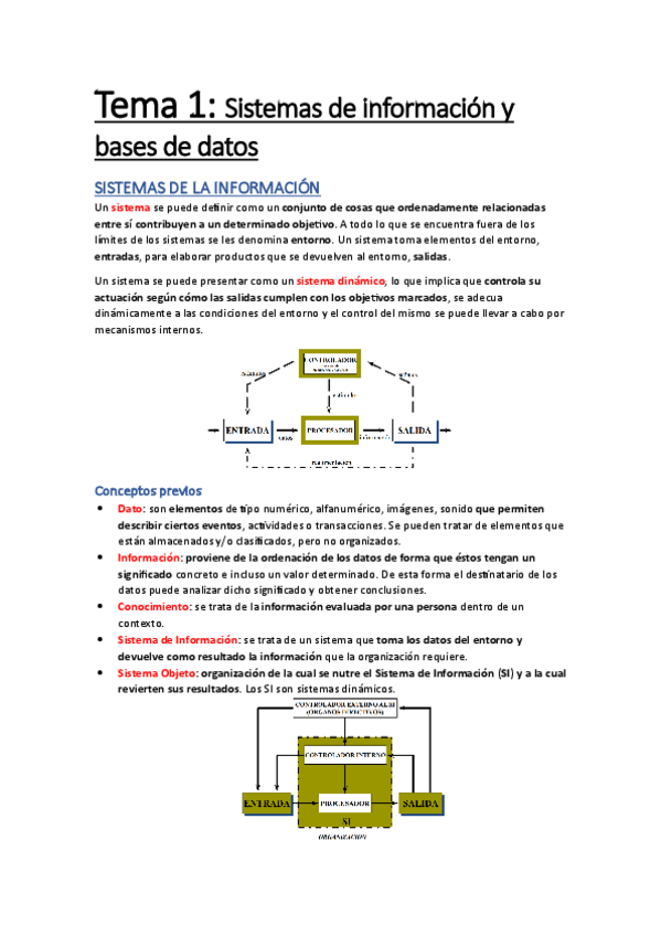 Miniatura del documento Tema-1-Sistemas-de-informacion-y-bases-de-datos.pdf