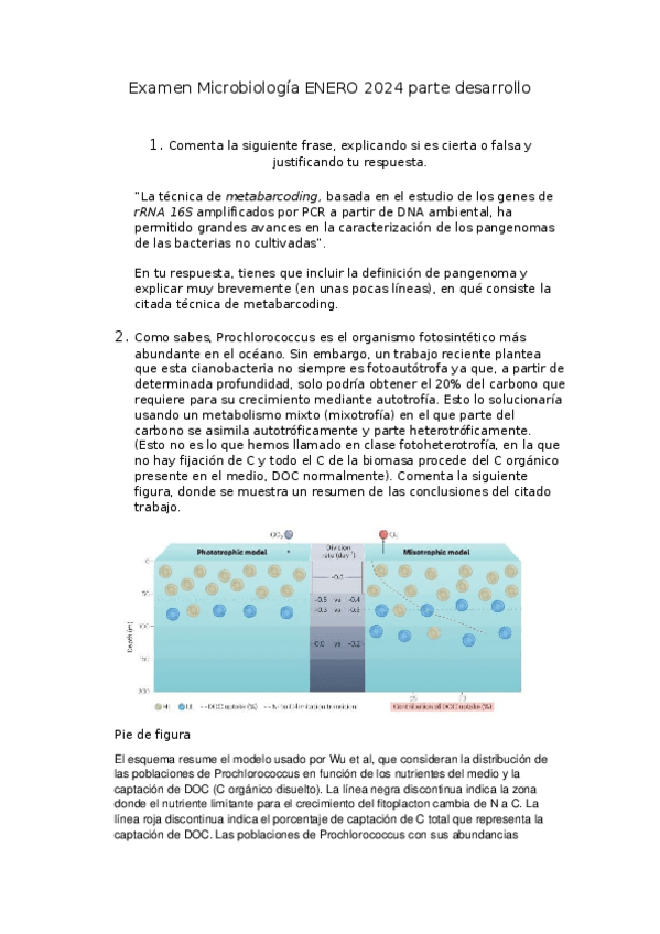 Miniatura del documento AMIC-Desarrollo-ENERO-2024.docx