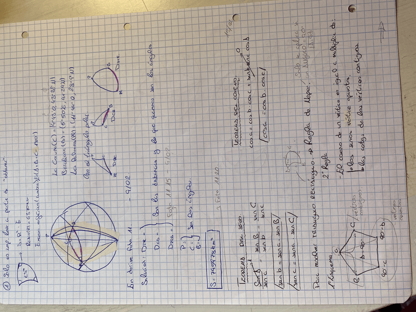 Miniatura del documento IMG7397.jpeg