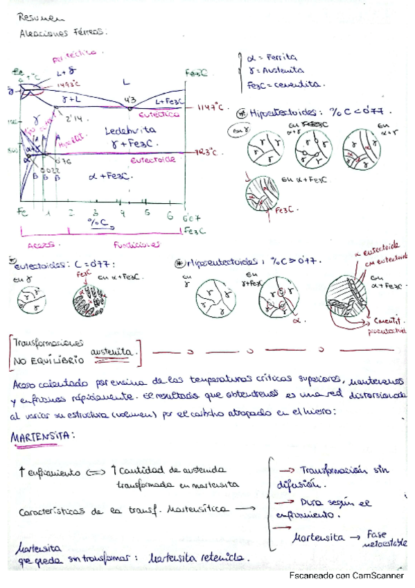 Miniatura del documento Resumen-Aleaciones-GOD.pdf