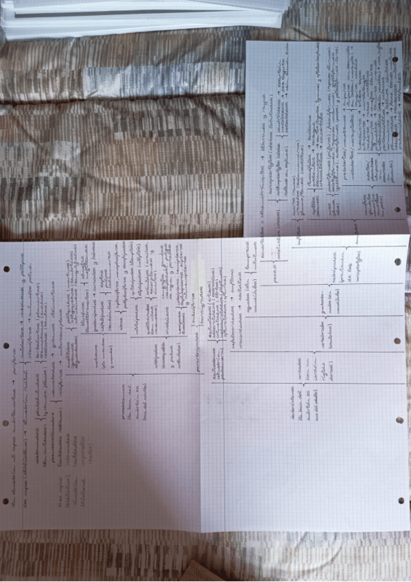 Miniatura del documento Biología 1º: El reino animal.pdf