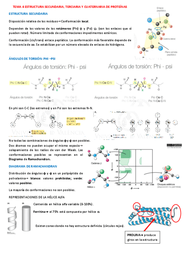 Miniatura del documento APUNTES-T4.pdf