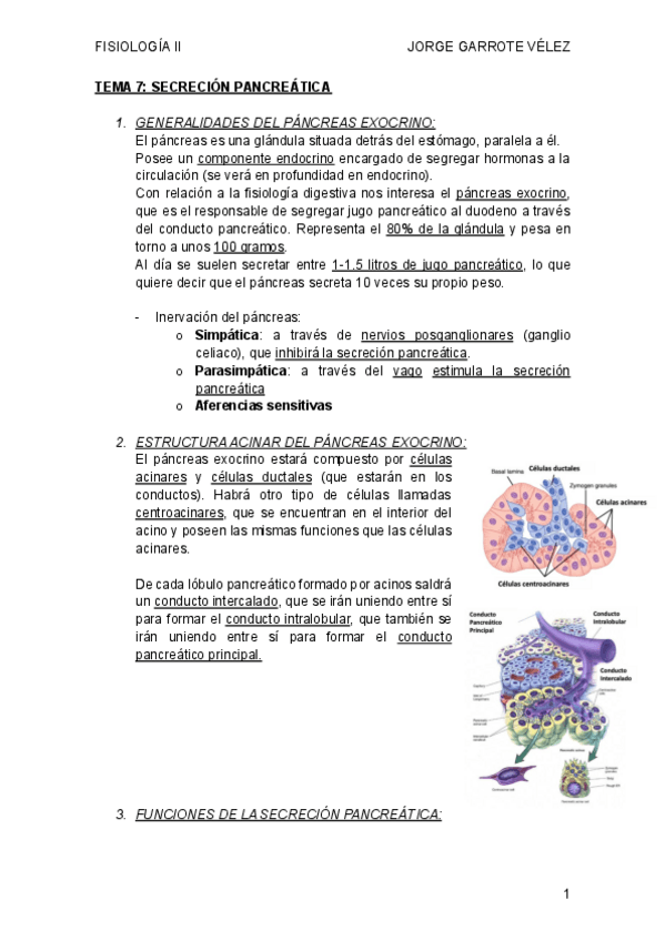 Miniatura del documento TEMA-7-secrecion-pancreatica.pdf