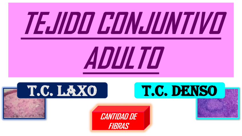 Miniatura del documento DENSO-Y-LAXO.pdf