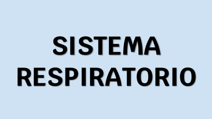 Miniatura del documento SISTEMA-RESPIRATORIO-HISTOLOGIA.pdf