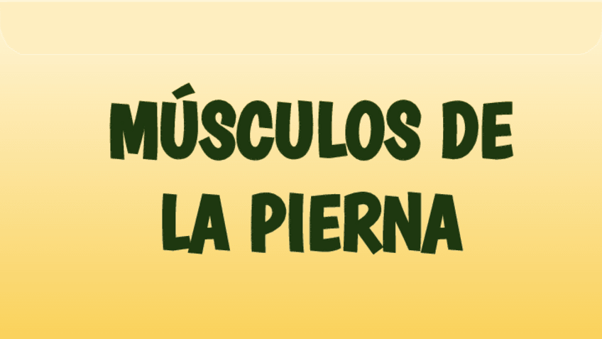 Miniatura del documento Musculos-de-la-pierna.pdf
