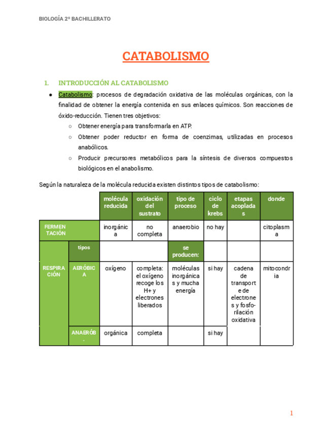 Miniatura del documento CATABOLISMO.pdf
