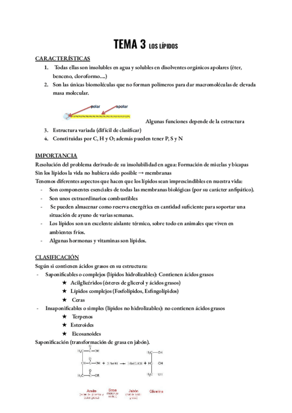 Miniatura del documento bioquimica-tema-3.pdf
