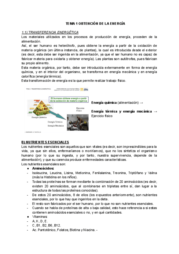 Miniatura del documento TEMA-1-OBTENCION-DE-LA-ENERGIA-1.pdf