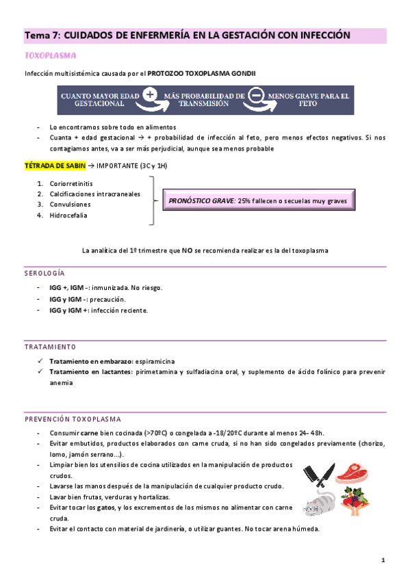 Miniatura del documento Tema-7-cuidados-a-la-madre-y-al-nino.pdf
