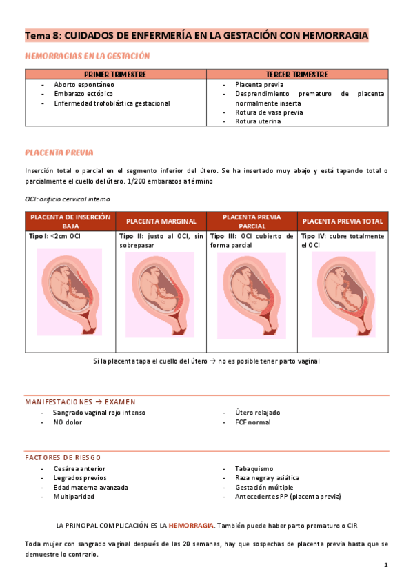 Miniatura del documento Tema-8-cuidados-a-la-madre-y-al-nino.pdf