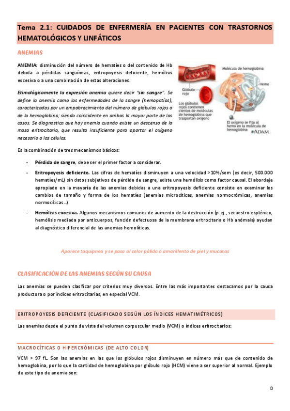 Miniatura del documento tema-2.1-cuidados-del-adulto-II.pdf