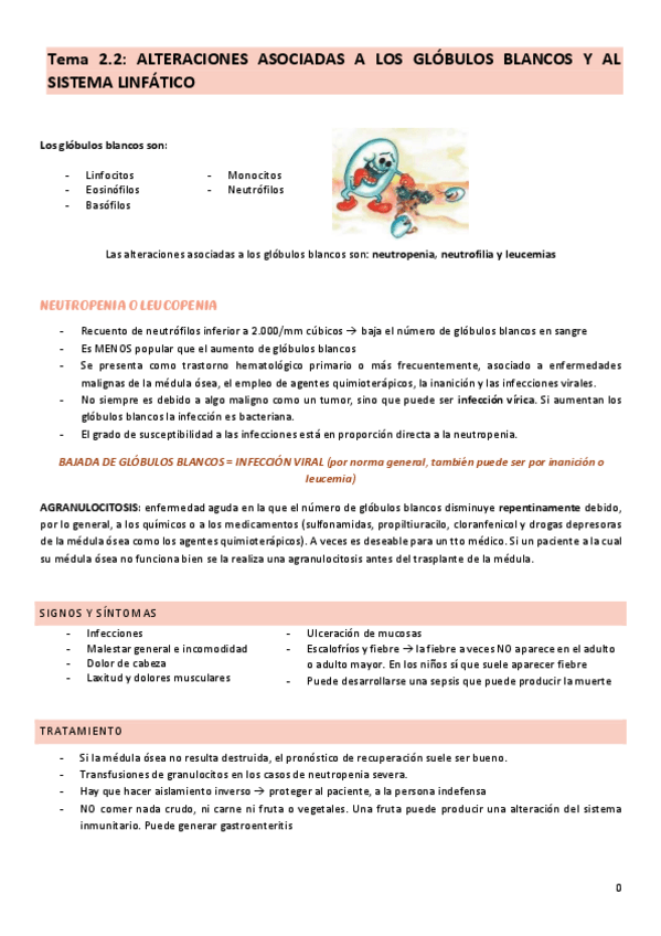 Miniatura del documento tema-2.2-cuidados-del-adulto-II.pdf