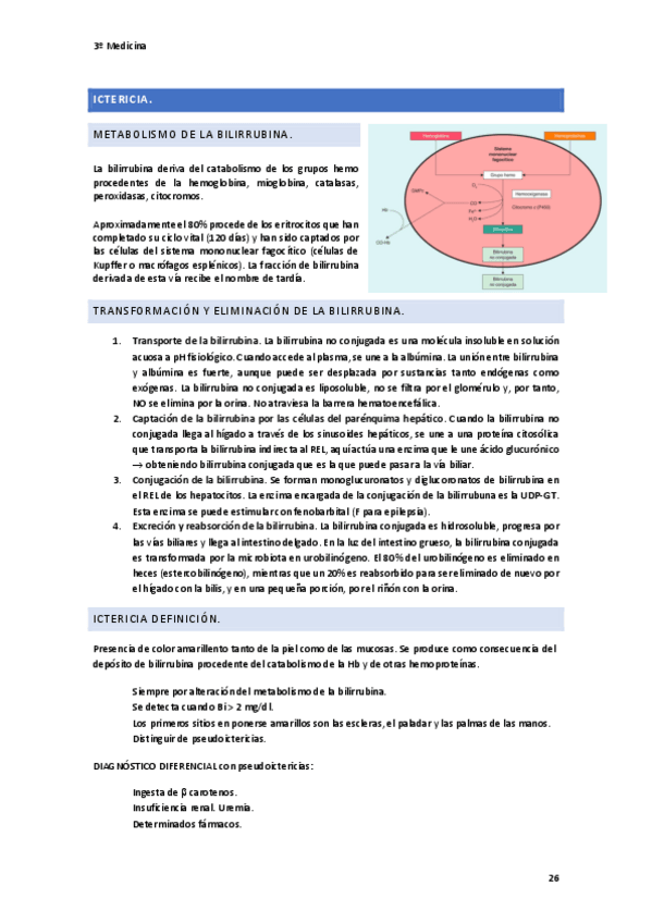 Miniatura del documento ictericia.pdf
