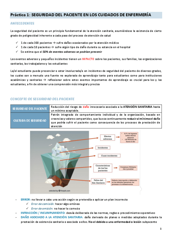 Miniatura del documento practica-1-cuidados-del-adulto-II.pdf