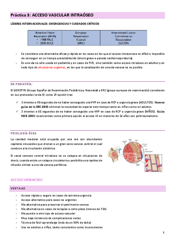 Miniatura del documento practica-3-cuidados-del-adulto-II.pdf