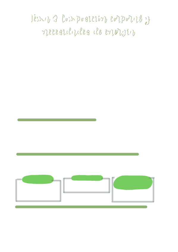 Miniatura del documento tema-3-composicion-corporal-necesidades-de-energia.pdf