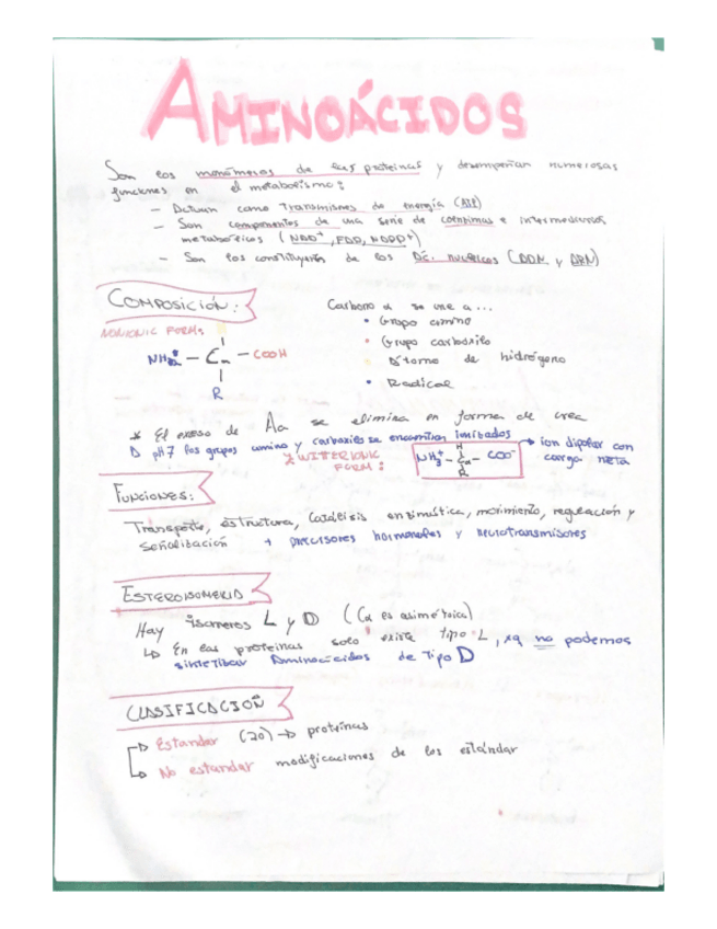 Miniatura del documento Resumen-T4-Aminoacidos.pdf
