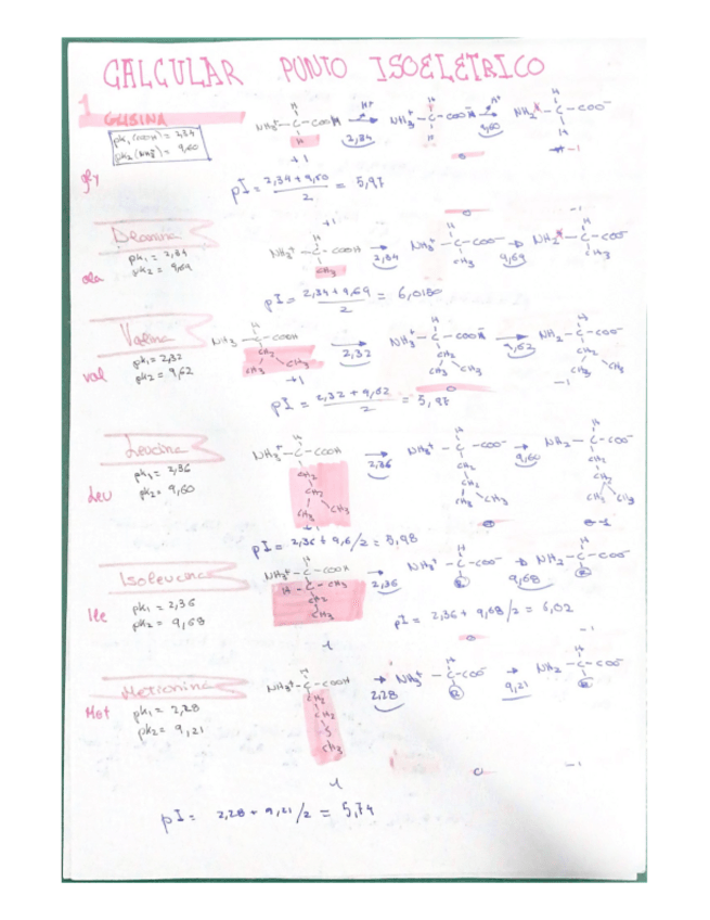 Miniatura del documento Trabajo-calcular-punto-isoelectrico.pdf