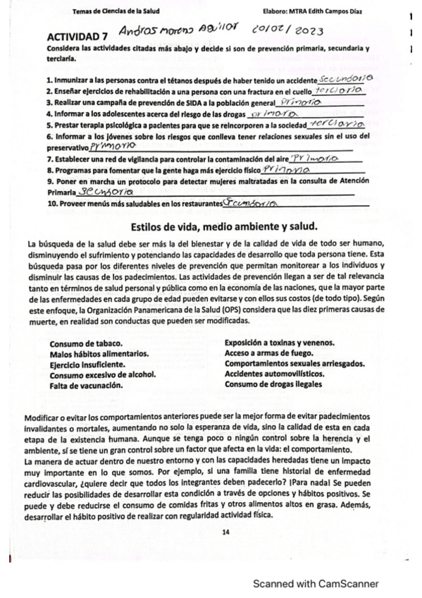 Miniatura del documento NIVELES-DE-PREVENCION.pdf