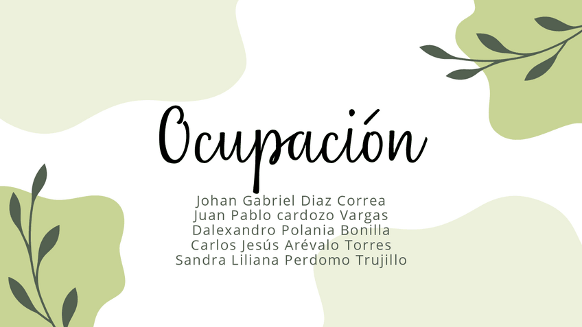 Miniatura del documento ocupacion-1.pdf